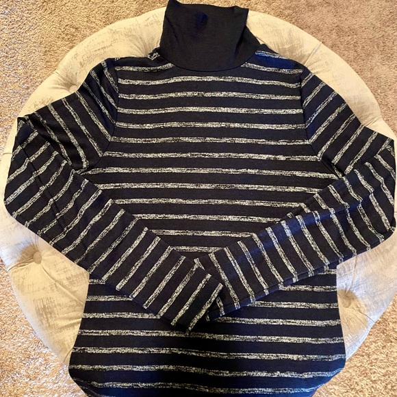 Rag & Bone Striped Turtleneck Sweater Size Large - Picture 2 of 3